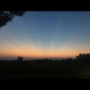 Meet your Posher, Nanette